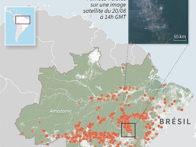 Incendies en Amazonie - Simon MALFATTO [AFP]