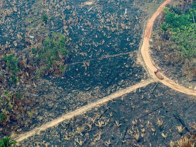 Vue aérienne d'un camion transportant des troncs d'arbre dans une zone de déforestation à Boca do Acre au Brésil, le 24 août 2019 - LULA SAMPAIO [AFP]
