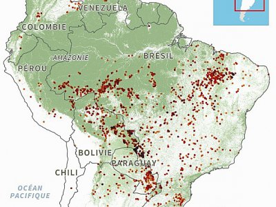 Incendies en Amérique du Sud - Simon MALFATTO [AFP]