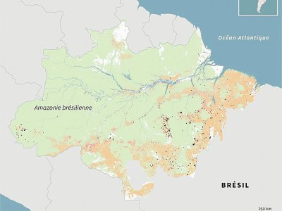 Incendies et déforestation en Amazonie brésilienne - Sabrina BLANCHARD [AFP]