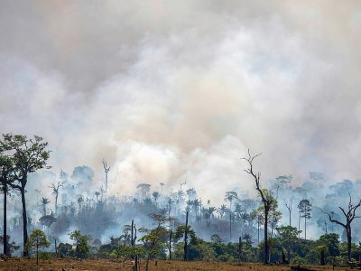 Des fumées s'élèvent de la forêt amazonienne près d'Altamira (nord du Brésil), le 27 août 2019 - Joao Laet [AFP]