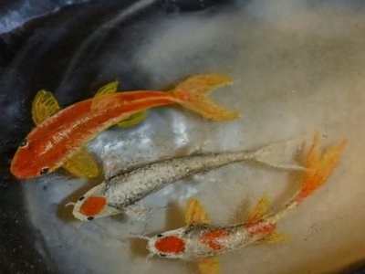 Des poissons peints par Micro-Angelo à l'intérieur d'une coquille de moule, le 23 août 2019 - Ozan KOSE [AFP]