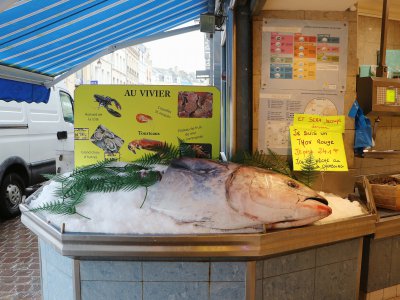 La moitié du thon de 241 kilos a été découpée tôt dans la matinée du mercredi 4 septembre 2019, au Vivier, situé rue Maréchal Foch à Cherbourg (Manche). - Marthe Rousseau