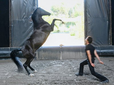 Manolo entraîne son cheval Indra au Théâtre du Centaure, à Marseille, le 23 août 2019 - Christophe SIMON [AFP]