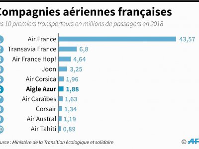 Compagnies aériennes françaises - Nioucha ZAKAVATI [AFP]