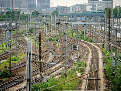 Abords enherbés des voies ferrées à la gare de Lille, en juin 2016 - PHILIPPE HUGUEN [AFP/Archives]