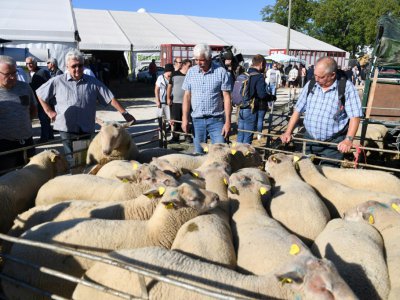 Des visiteurs à la foire de Beaucroissant, en Isère, le 13 septembre 2019 - JEAN-PIERRE CLATOT [AFP]