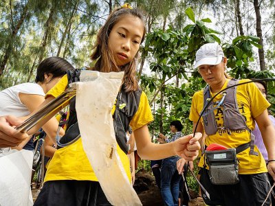 Lilly en pleine collecte de déchets par une ONG en Thaïlande, le 25 août 2019 - Mladen ANTONOV [AFP]