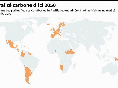 Neutralité carbone d'ici 2050 - Gal ROMA [AFP]