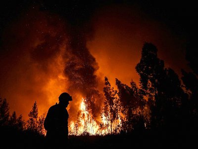 Incendie de forêt à Macao au Portugal le 21 juillet 2019 - PATRICIA DE MELO MOREIRA [AFP/Archives]