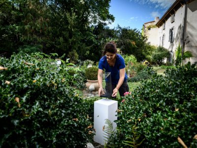 L'artiste Manon Damiens installe ses sculptures dans le jardin d'un habitant de Saint-Saturnin le 26 septembre 2019 - JEAN-PHILIPPE KSIAZEK [AFP]
