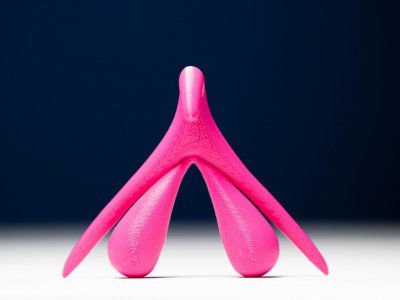 Modèle de clitoris en trois dimensions, photographié le 2 octobre 2019 à Paris - JOEL SAGET [AFP]