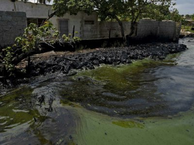 Une flaque de pétrole sur les rive du lac Maracaibo, le 13 juin 2019 à Cabimas, au Venezuela - YURI CORTEZ [AFP]