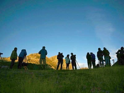 Des passionnés guettent à l'aube l'appartition des ours dans le parc naturel de Somiedo, le 28 août 2019 dans le nord de l'Espagne - GABRIEL BOUYS [AFP/Archives]