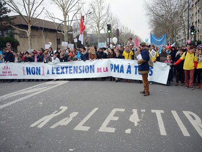 Manifestation contre l'extension de la PMA à tous, le 13 janvier 2013 à Paris - DAMIEN MEYER [AFP/Archives]