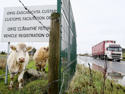 Près d'un poste de douane désaffecté à la frontière irlandaise, en novembre 2018 - Paul FAITH [AFP/Archives]