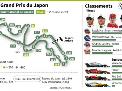 Formule 1 Grand Prix du Japon - Matthias BOLLMEYER [AFP]