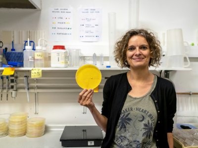 Audrey Dussutour dans son laboratoire à Toulouse le 31 mai 2019 - ERIC CABANIS [AFP/Archives]