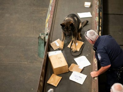 Un  agent de la douane américaine, aidé par un berger allemand, cherche de la drogue dans des paquets arrivés au centre de tri postal de l'aéroport John F. Kennedy, le 24 juin 2019 à New York - Johannes EISELE [AFP]
