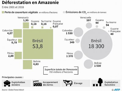 Déforestation en Amazonie - Nicolas RAMALLO [AFP]