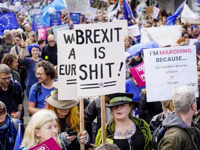 Manifestation d'ampleur près du Parlement à Londres pour réclamer un nouveau référendum sur le Brexit, le 19 octobre 2019 - Niklas HALLE'N [AFP]