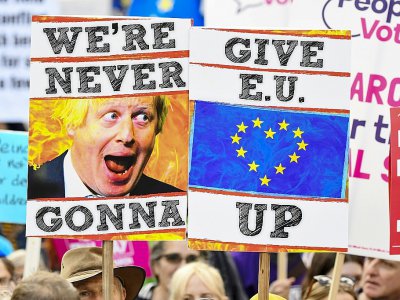 Des manifestants agitant des pancartes hostiles au Brexit, à Londres le 19 octobre 2019 - Niklas HALLE'N [AFP]
