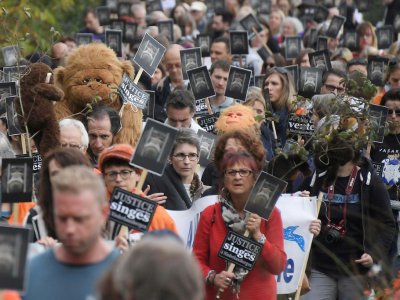 Manifestation à  Niederhausbergen, à proximité de Strasbourg pour réclamer la fermeture d'un centre universitaire de primatologie, qui réalise des études sur des singes, le 20 octobre 2019 - FREDERICK FLORIN [AFP]