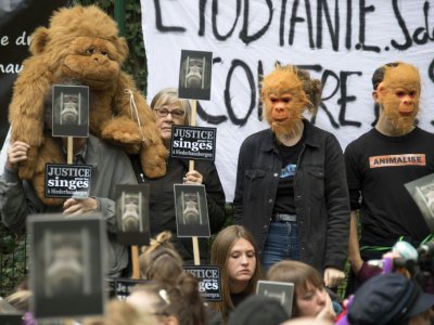 Manifestation à proximité de Strasbourg pour réclamer la fermeture d'un centre universitaire de primatologie, qui réalise des études sur des singes, le 20 octobre 2019 - FREDERICK FLORIN [AFP]