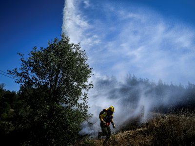 Des pompiers privés travaillant pour les groupes papetiers Navigator et Altri s'exercent à Abrantes, au Portugal, en août 2019 - PATRICIA DE MELO MOREIRA [AFP]