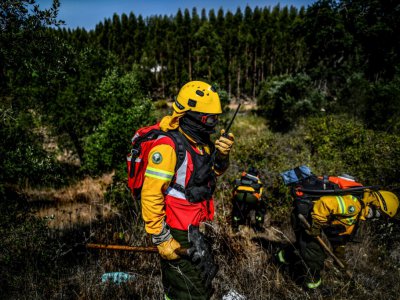 Des pompiers privés travaillant pour les groupes papetiers Navigator et Altri s'exercent à Abrantes, au Portugal, en août 2019 - PATRICIA DE MELO MOREIRA [AFP]