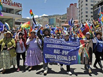 Des partisans du président socialiste Evo Morales manifestent à La Paz, le 23 octobre 2019 - JORGE BERNAL [AFP]