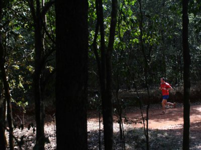Un joggeur dans la forêt de Karura le 17 septembre 2019 au Kenya - SIMON MAINA [AFP]