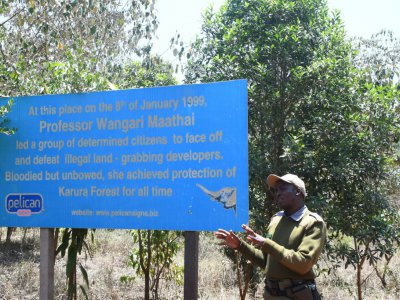 John Chege, ranger de la forêt de Karura, le 17 septembre 2019 au Kenya - SIMON MAINA [AFP]