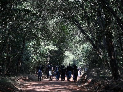 Un groupe de marcheurs dans la forêt de Karura, le 17 septembre 2019 à Nairobi, au Kenya - SIMON MAINA [AFP]