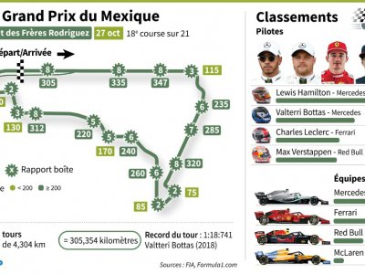 Grand Prix du Mexique - Matthias BOLLMEYER [AFP]