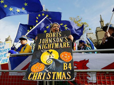 Une manifestante anti-Brexit le 30 octobre 2019 devant le Parlement de Londres - Tolga AKMEN [AFP]