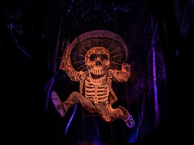 Les squelettes sont les acteurs principaux du Jour des Morts, le 30 octobre 2019 à Mexico - Pedro PARDO [AFP]