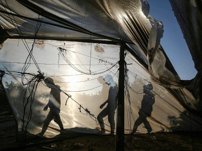 Des Palestiniens passent derrière une serre endommagée par une frappe israélienne, dans le sud de la bande de Gaza, le 2 novembre 2019 - SAID KHATIB [AFP]