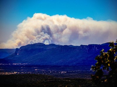 Incendie dans le parc national de Wollemi, à l'ouest de Sydney, le 7 novembre 2019 - DAVID GRAY [AFP]
