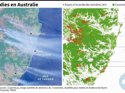 Photos satellites de localisation des incendies qui ravagent l'est de l'Australie, foyers d'incendie des dernières 24 heures - Patricio ARANA [AFP]