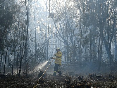 Un pompier lutte contre un incendie qui menace une banlieue de Sydney, le 12 novembre 2019 - Saeed KHAN [AFP]