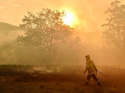 Un pompier s'approche d'un feu de brousse à Hillville, près de Taree, en Australie, à 350 km au nord de Sydney, le 12 novembre 2019 - PETER PARKS [AFP]