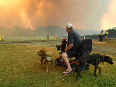 Des habitants observent un incendie près de la localité australienne de Nana Glen, à environ 600 km au nord de Sydney, le 12 novembre 2019 - WILLIAM WEST [AFP]