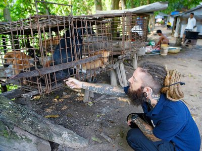 Un membre de l'ONG "Quatre Pattes" avec des chiens qui vont être sauvés d'un abattoir de la région de Siem Reap, au Cambodge, le 25 octobre 2019 - TANG CHHIN Sothy [AFP]