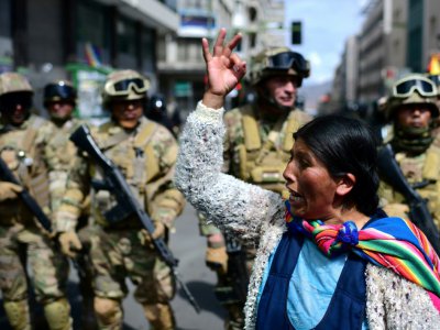 Une partisane de l'ex président Evo Morales lors d'une manifestation à La Paz, le 15 novembre 2019 - RONALDO SCHEMIDT [AFP]