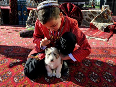 Un garçon caresse un chiot de berger alabaï le 7 novembre 2019 à Achkhabad. Au Turkménistan, Etat reclus et autoritaire, un animal autre que le cheval a gagné les faveurs du président, qui a placé le chien de berger alabaï au coeur de l'identité nati - Igor SASIN [AFP]