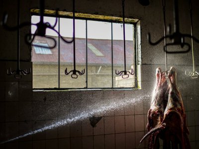 Un homme lave une carcasse de boeuf à l'abattoir municipal d'El Alto (Bolivie), qui reste coupée de La Paz par les partisans d'Evo Morales, provoquant des pénuries dans les deux villes, le 23 novembre 2019 - RONALDO SCHEMIDT [AFP]