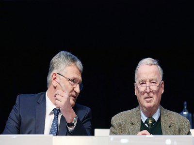 Les co-présidents de l'AfD, Jörg Meuthen et Alexander Gauland, au congrès du parti antimigrants à Brunswick en Allemagne le 30 novembre 2019 - Ronny Hartmann [AFP]