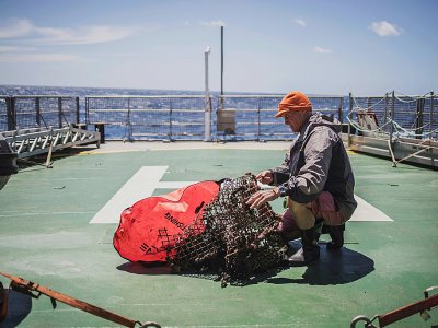 Le biologiste Robert Anderson à bord du navire de Greenpeace  Arctic Sunrise, après l'exploration de la montagne sous-marine Mount Vema, au large de l'Afrique du Sud, le  31 octobre 2019 - MARCO LONGARI [AFP]
