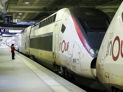 Des TGV à à la gare Montparnasse lors d'une grève à la SNCF, le 28 octobre 2019 à Paris - JACQUES DEMARTHON [AFP/Archives]
